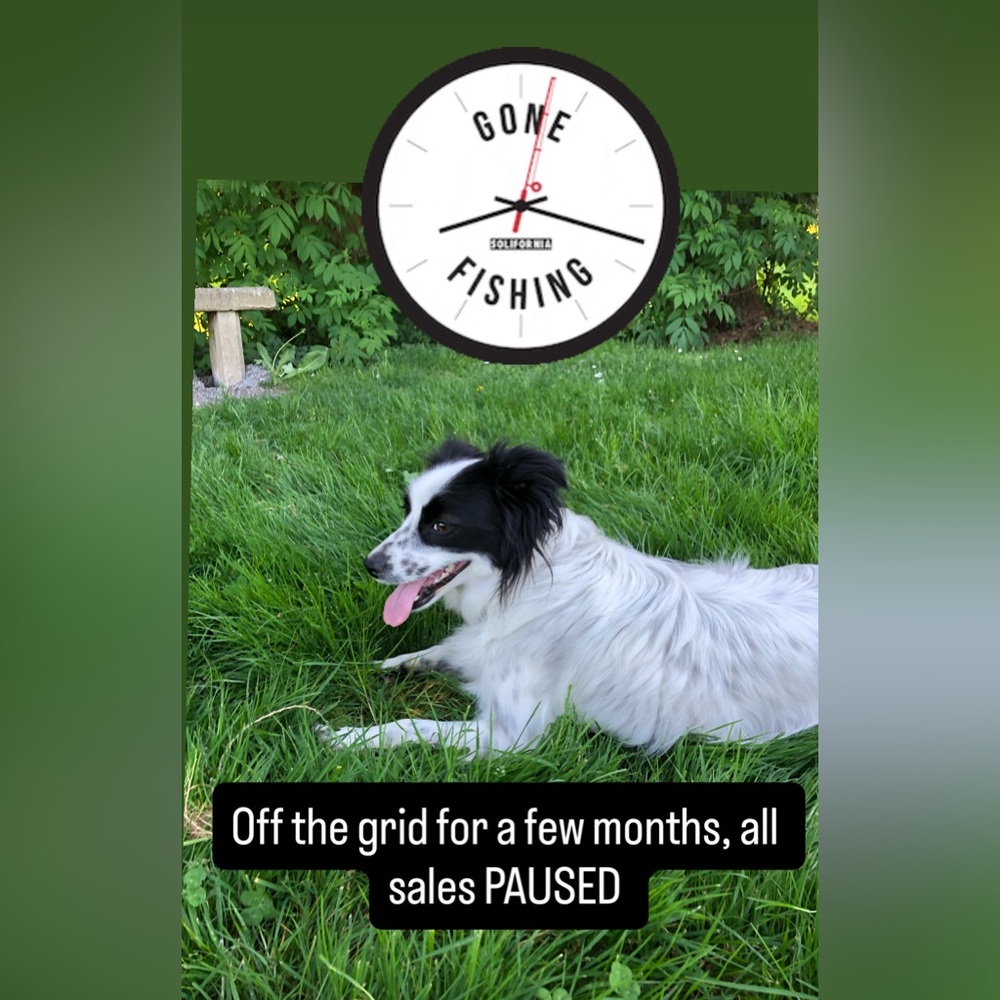 Black and White Dog Leash